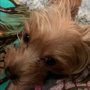 Meet your Posher, Jamie